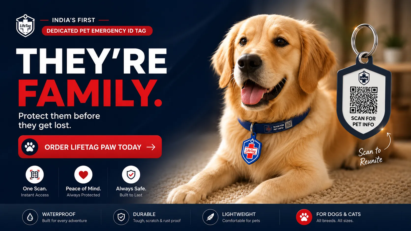Bruno the Golden Retriever